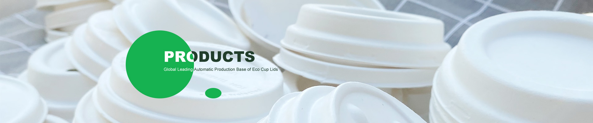 Bagasse Cups & Trays