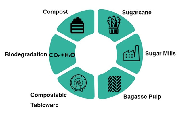 biodegradable sugarcane tableware
