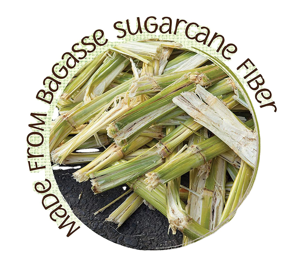 How is bagasse sugarcane developed for use in dinnerware?