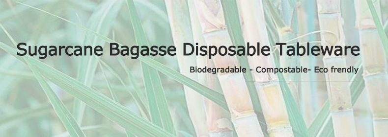 bagasse products manufacturers