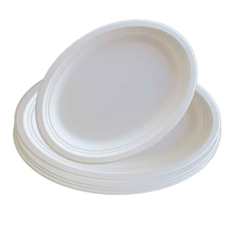 Biodegradable Paper Plates, Compostable Paper Plates,  Disposable Plates
