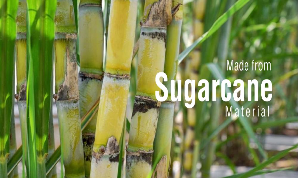 sugarcane bagasse molded pulp paper is a material that can replace plastic