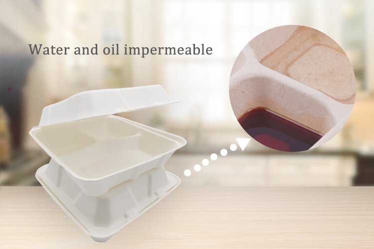 sugarcane food containers