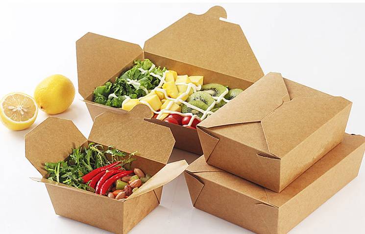 Paper takeaway lunch box