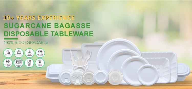 8 Things You Need To Know About Disposable Biodegradable Tableware