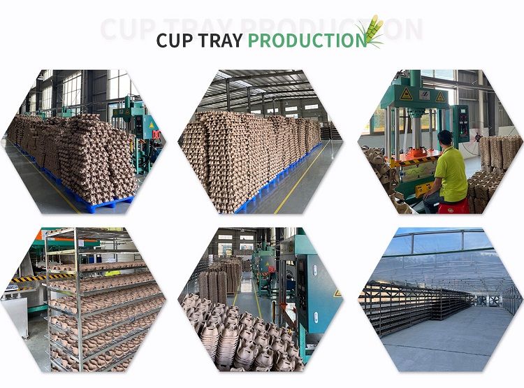 paper cup tray factory