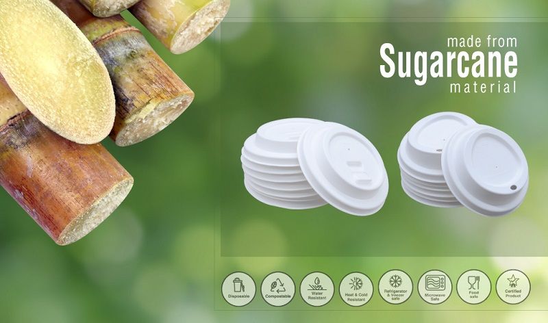 biodegradable bagasse cup lids