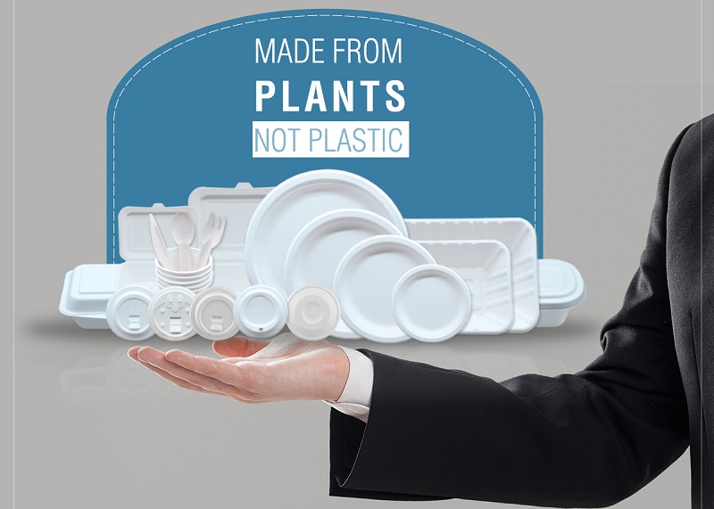 Biodegradable Disposable Plates
