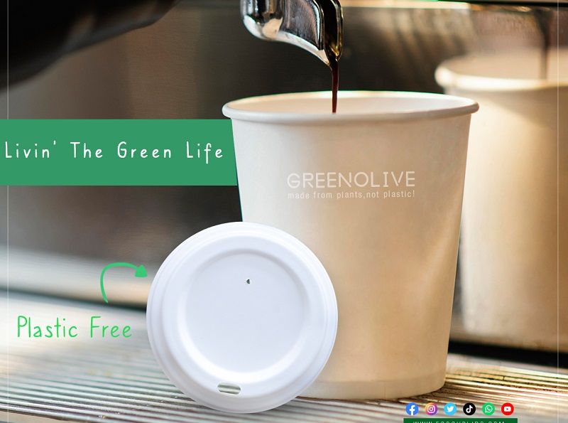 biodegradable coffee lids