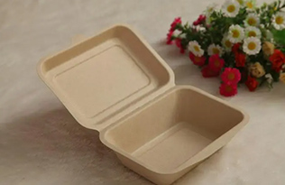 Bagasse pulp turned into a degradable lunch box, the market is in short supply