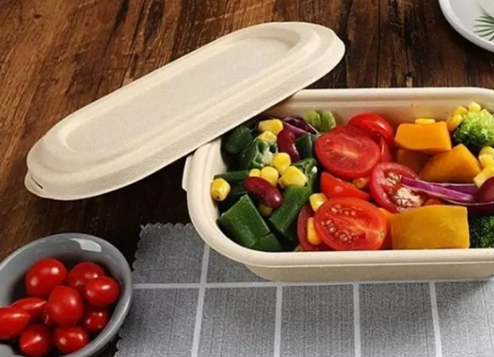 Popular eco-friendly lunch boxes on the market