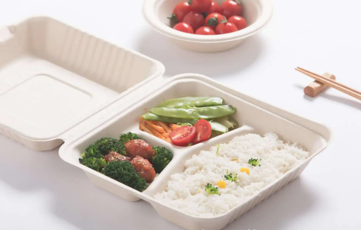 Eliminate single-use plastic lunch boxes and reduce takeaway waste!