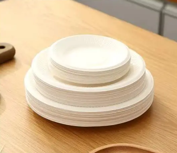 biodegradable plates cups and cutlery usher in a plastic-free era