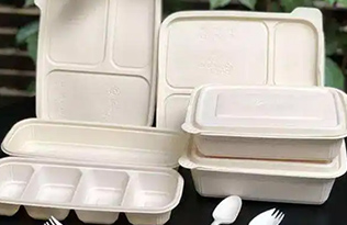 What is the recent popular biodegradable tableware