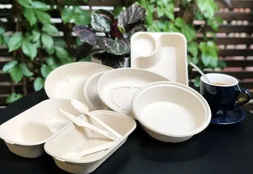 Would you choose biodegradable disposable crockery?