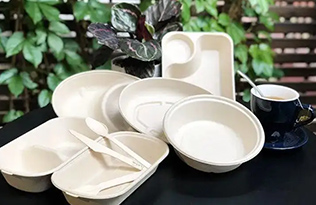 Would you choose biodegradable disposable crockery?
