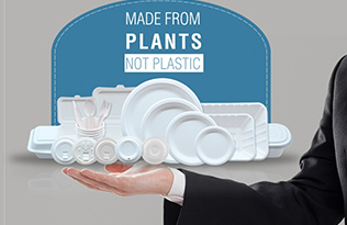 Disposable biodegradable tableware solution to white pollution solution