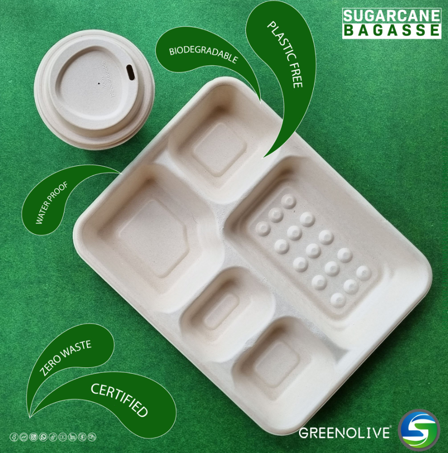 Who has the biggest advantage between plastic tableware and disposable biodegradable tableware