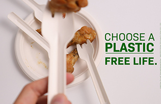 Is sugar cane pulp environmentally friendly disposable plates and cutlery easy to use?
