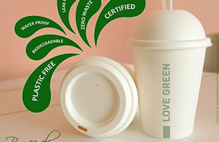 What is the effect of pulp molding environmentally friendly disposable degradable cups?