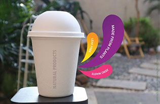 Biodegradable disposable cups made from sugar cane and bamboo break down in 60 days