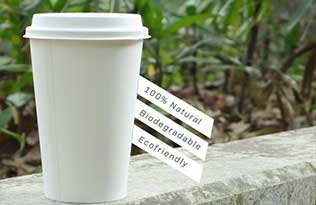 A biodegradable coffee cup made from bagasse
