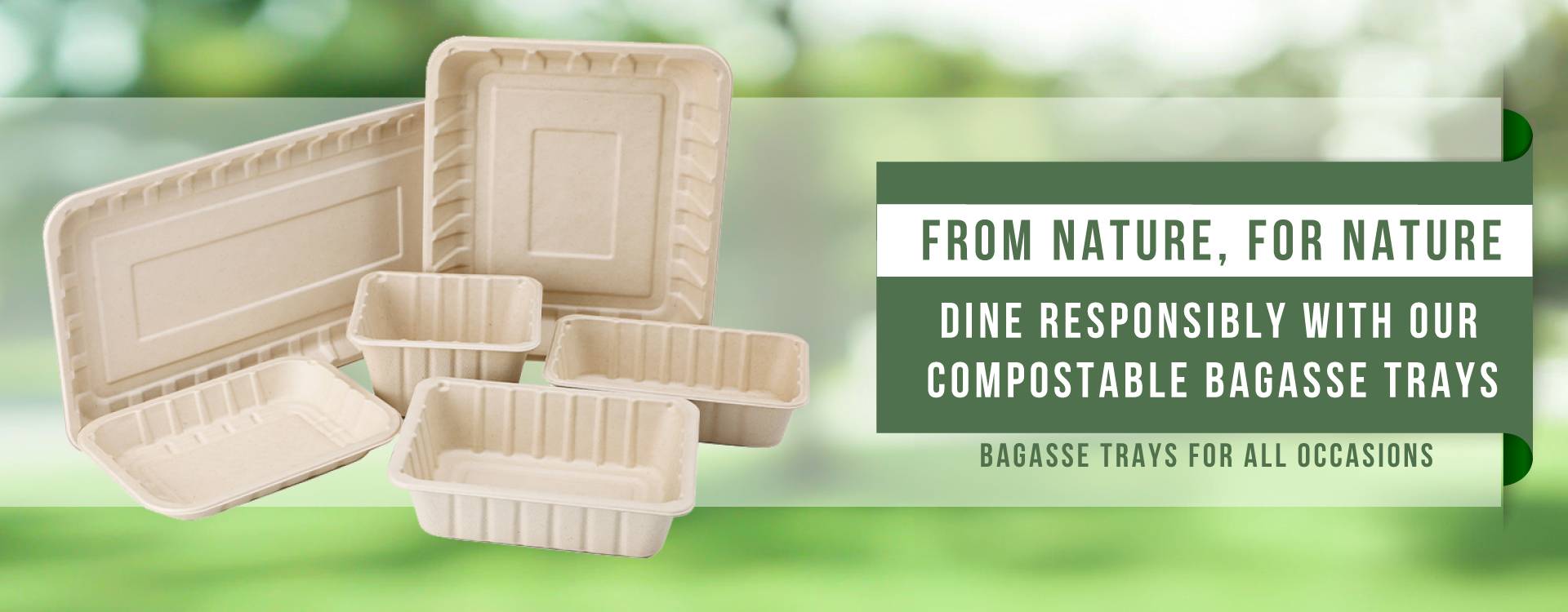 bagasse tray